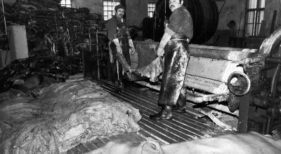 Arnold Tabakhanesi‘nde bir iş günü.  Hall Fotoğraf Arşivi